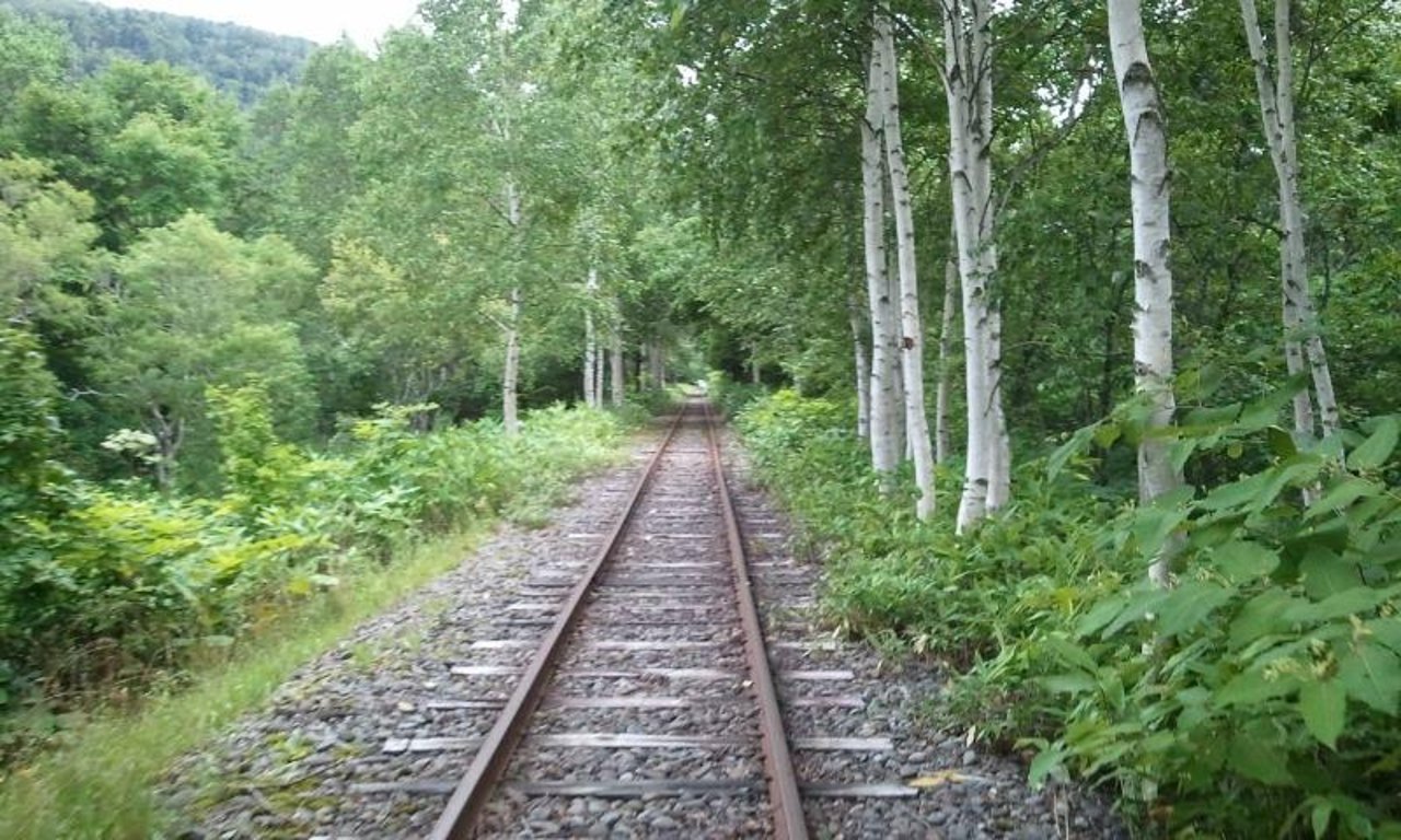 🚂 토롯코 왕국 비후카 이미지 7